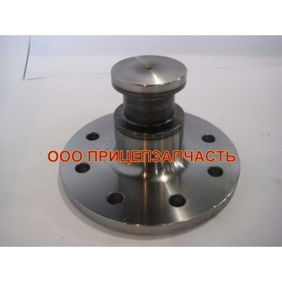 Шкворень БЦМ 23.01.05.200.05000