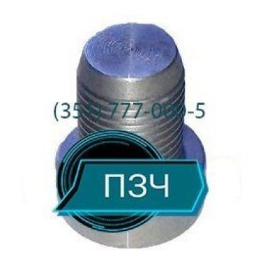 Палец рессоры центрирующий GIGANT 700609601